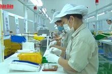 Video: Enterprises raise wages and benefits to attract workers