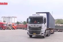 Video: Budget revenue from import-export rises by 9.3%