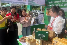 Visitors at the festival.