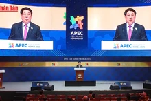 Video: Draft documents of 14th National Congress emphasise key role of foreign affairs 