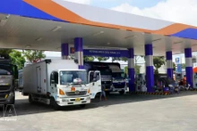 A petrol station in Dong Thap Province. (Photo: VNA)
