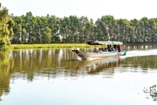 Visitors explore Tram Chim National Park. (Photo: Huu Tai)