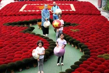 Foreign tourists explore Quang Phu Cau incense village in Ung Thien Commune.