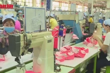 Video: Ha Noi implements eight task groups to develop private economy