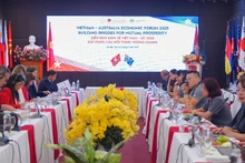 An overview of the forum (Photo; VNA) 