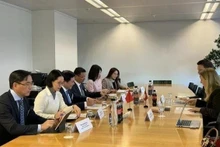 The Vietnamese delegation and representatives of Switzerland discuss key issues during the 19th round of negotiations for the Free Trade Agreement (FTA) between Viet Nam and the European Free Trade Association. (Photo: VNA)
