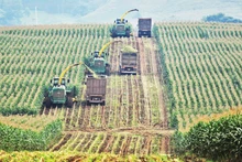 TH Group is a prime example of sustainable investment in high-tech agriculture and the circular economy.