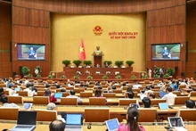 Infographic: Viet Nam's 34 provinces and cities
