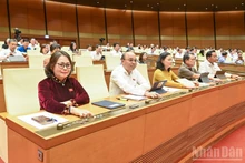Deputies vote to approve the NA Resolution on the reorganisation of provincial-level administrative units in 2025 (Photo: Duy Linh)