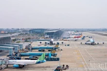 Vietnamese airlines are planning to cut certain domestic flights in response to the sharp increase in fuel prices.