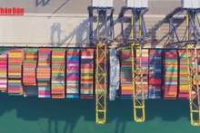 Video: Ho Chi Minh City renews policies to accelerate growth