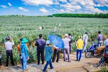 Tourists enjoy visiting the Khom Cau Duc community tourism village.