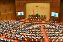In pictures: 15th National Assembly convenes 10th plenary meeting