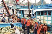 Boats in Hai Phong are secured as Typhoon Wipha approaches. (Photo: Hong Minh)