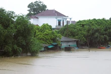 Flooding caused by Wipha-triggered rain in Nghe An Province. (Photo: VNA)