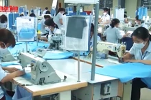 Video: Businesses and entrepreneurs drive national development 