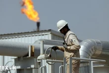 A worker at an oil refinery. (Photo: Xinhua/VNA)