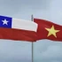 Viet Nam, Chile exchange congratulatory messages on 55 years of diplomatic relations