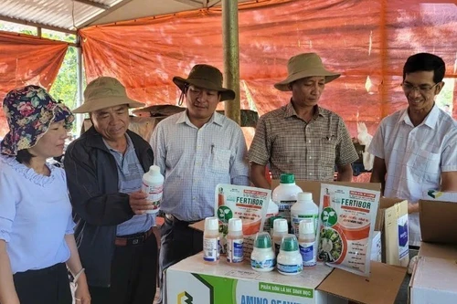 Authorities in Dak Lak Province guide local residents in the use of biological pesticides.