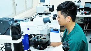 Excessive time is spent on administrative procedures to disburse funding for scientific research. Photo: NAM ANH