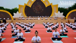 A synchronised yoga performance featuring over 300 participants at the festival. (Photo: Quoc Dat) 