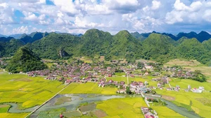 A valley of golden fields in Bac Son District, home to numerous geological heritage sites.