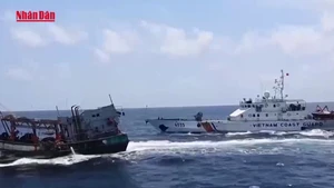 Video: Vietnam strives to remove "yellow card" in Q4/2025