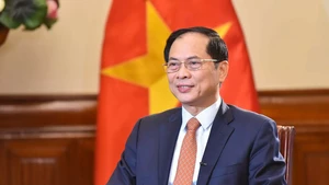 Vietnamese Deputy Prime Minister and Minister of Foreign Affairs Bui Thanh Son. (Photo: VGP)
