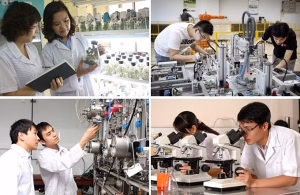 Scientific research is the foundation of scientific development. (Illustrative photo: baochinhphu.vn)