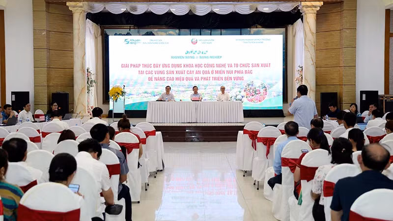 Application of science and technology in organising fruit tree production in northern mountainous region highlighted