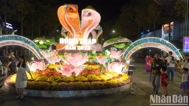 The image of a soft, winding snake mascot.