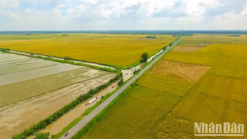 The inland irrigation system has been strengthened to serve the specialised rice growing areas.