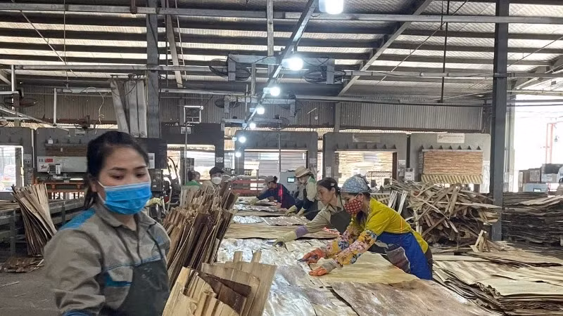 Producing plywood for export at Son Thuy Joint Stock Company, Hoa Binh province. (Photo: VU HOANG)
