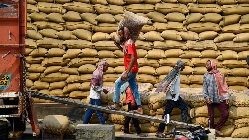 Workers transport rice at a warehouse in Jalandhar, India. (Source: ANI/VNA)