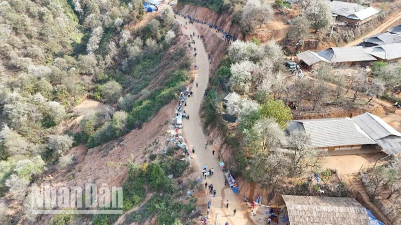 This year’s Son Tra Flower Festival in Ngoc Chien Commune, Muong La District, attracts large numbers of tourists and people from inside and outside the province.