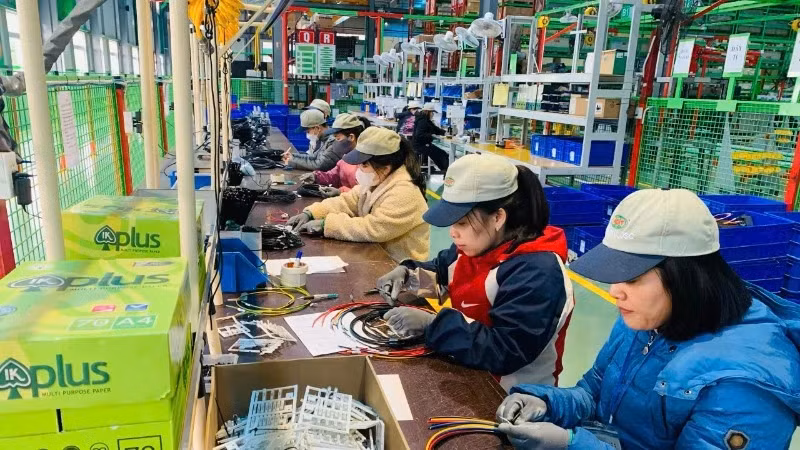 Attracting talented people is an important requirement for businesses. (Photo: BICH LIEN)