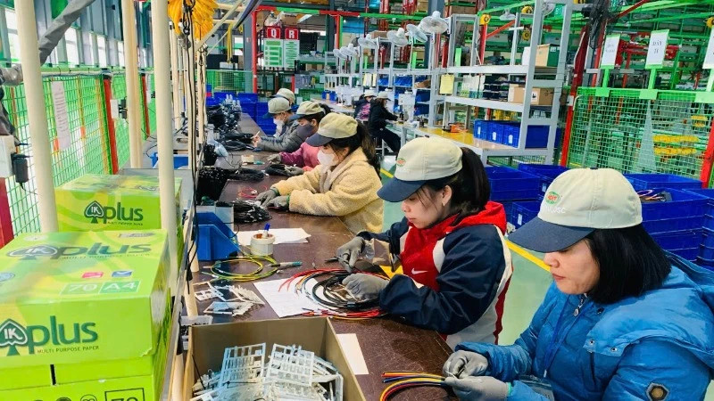 Attracting talented people is an important requirement for businesses. (Photo: BICH LIEN)
