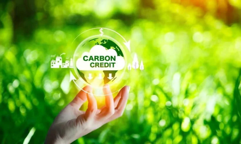 Vietnam will develop carbon market to meet greenhouse gas (GHG) emission reduction targets. (Photo: Insurance Business Mag)