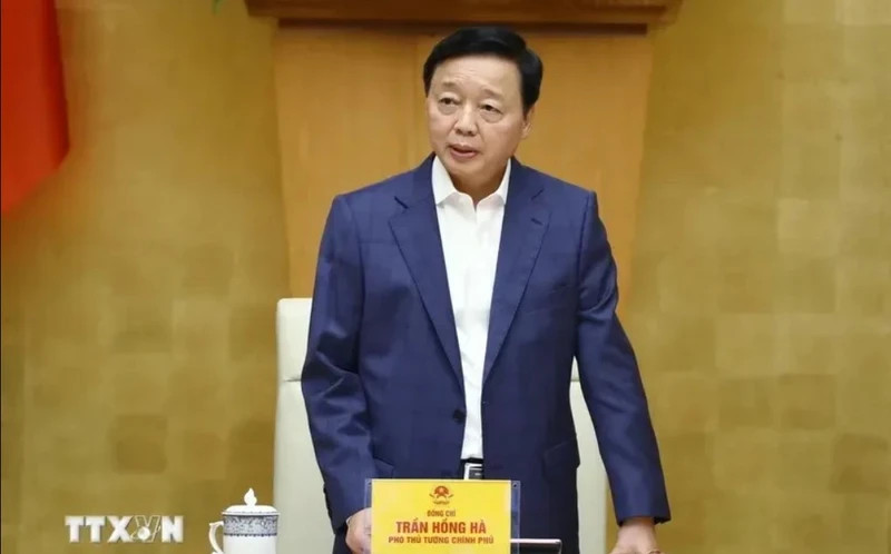 Deputy Prime Minister Tran Hong Ha speaks at the conference. (Photo: VNA)