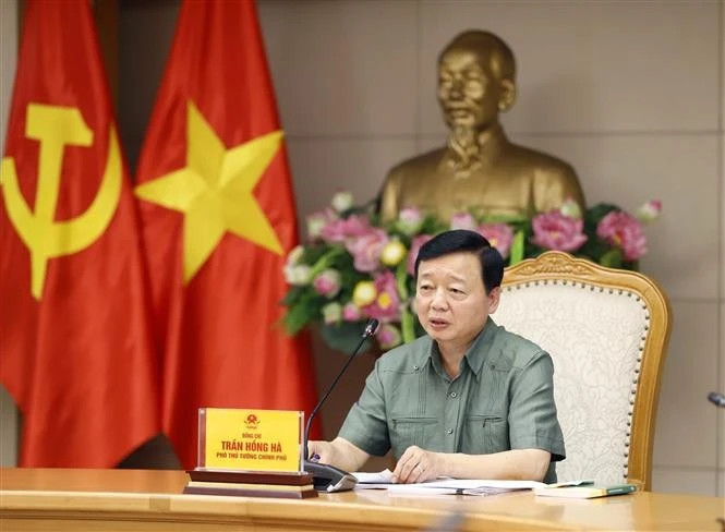 Deputy Prime Minister Tran Hong Ha addresses the meeting on May 21. (Photo: VNA)
