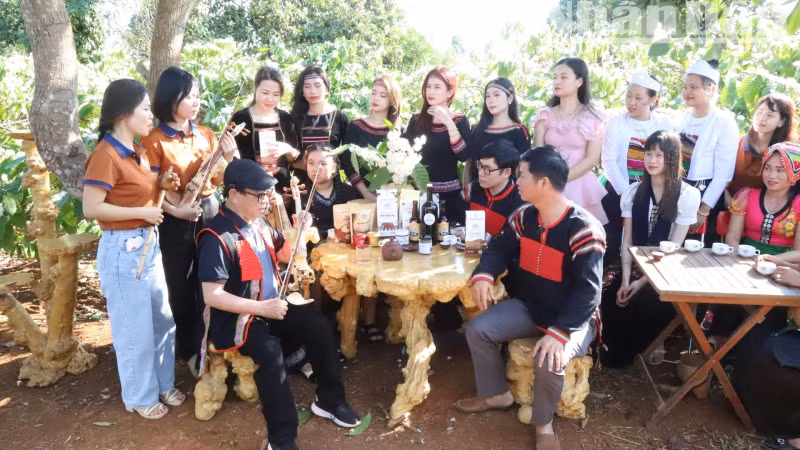 The activities of visiting, experiencing and enjoying coffee among the vast scent of coffee flowers excite tourists.