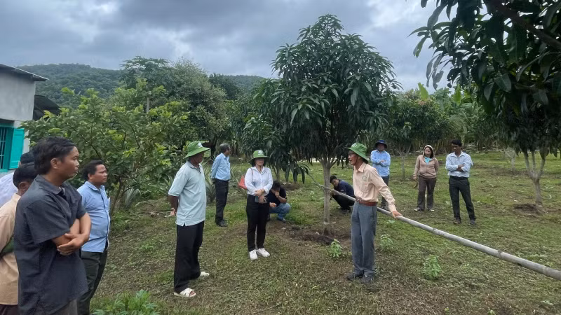 Land policy for ethnic minorities aims to resolve the issue of land allocation, land lease, and change of land use purpose for ethnic minorities, improve their lives, and stabilise their lives in the long term.