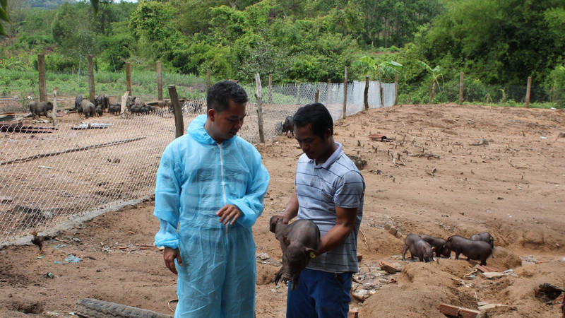 Ethnic minorities produce agriculture on the land assigned to them.