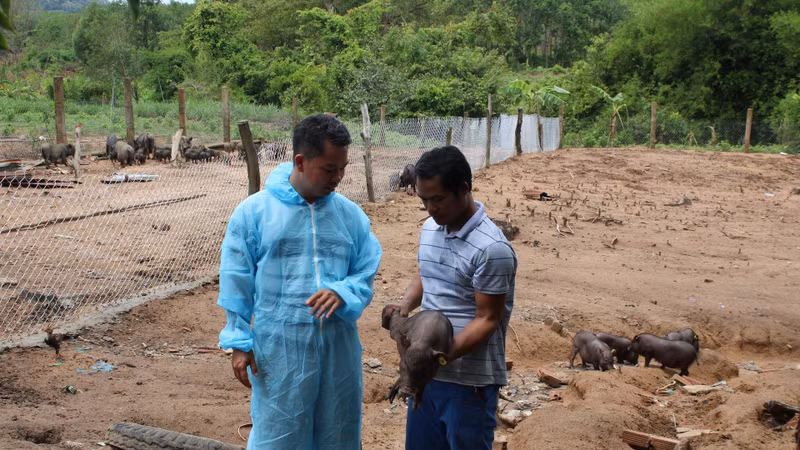 Ethnic minorities produce agriculture on the land assigned to them.