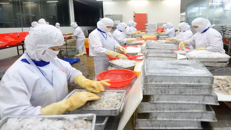 Value-added shrimp products tend to grow well in the EU market.