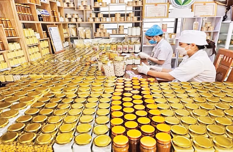 Packaging products after deep processing at Tan Thanh Agricultural Cooperative.