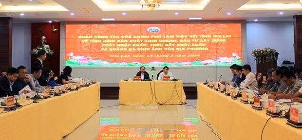 At the working session (Photo: VNA)