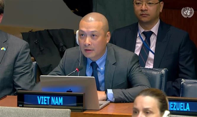Minister Counsellor Nguyen Hoang Nguyen, deputy head of the Permanent Delegation of Vietnam to the United Nations. (Photo: VNA)