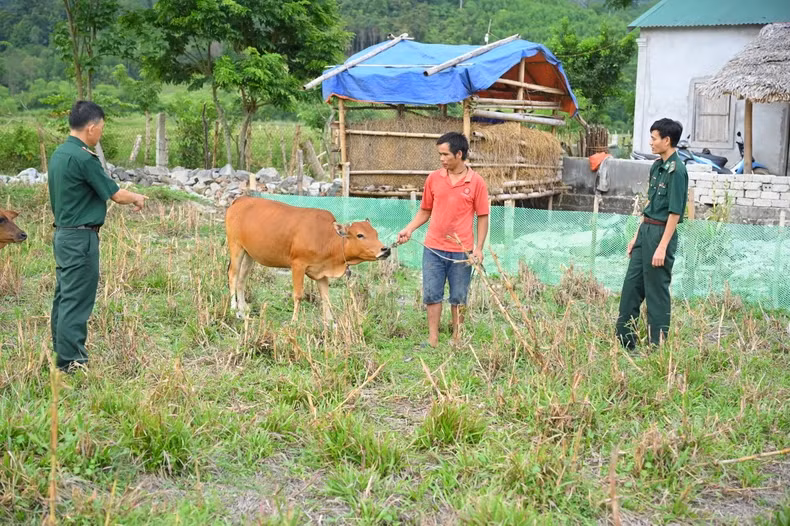 Officers of the Mon Son Border Guard Station regularly support Mr Le Van Nhuan’s family in taking care of the supported pigs.