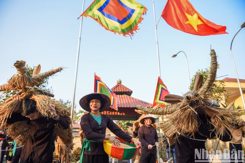 Straw is prepared from the previous year's harvest and braided into buffalo and cow shapes at the end of the year.